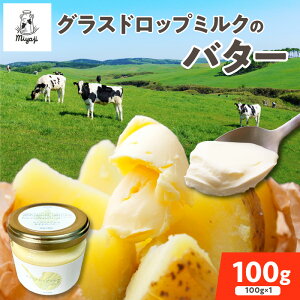 yӂ邳Ɣ[Łz{nq̃OXhbv~Nōo^[ 100g qHׂĈ  Hi 蕨  Mtg   ăMtg Mtg ̂ l kC 