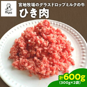 yӂ邳Ɣ[Łz {nq̃OXhbv~N  Ђ 300g×2 600g ֗ȏ gCX ~[g\[X no[O kCY  100%   Ђ ^RX J[  ֗