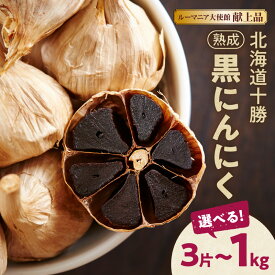 【ふるさと納税】にんにく好き必見！ 北海道十勝清水町産 無添加熟成黒にんにく ＼ 容量が選べる ／ 十勝清水町産 にんにく ニンニク 自然発酵30日以上 ドライフルーツのような甘さ 野菜 甘み 十勝 フルーティー 無添加 ガーリック 長期熟成 お取り寄せ 北海道 清水町