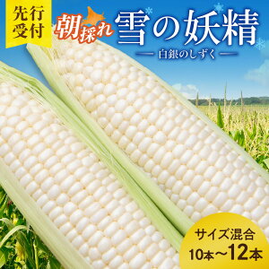 yӂ邳Ɣ[Łzy2026N8`JnIzʌIkC\Y 󏭕iI Ƃ낱 ̗d TCY 10`12{ zCg kCY 2026N Ƃ Y Yn 