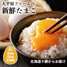 【ふるさと納税】選べる 内容量 と 定期便 大平原ファームの新鮮でおいしい卵 割れ補償 たまご 卵 卵料理 朝食 生卵 こだわり卵 卵かけご飯 玉子 タマゴ 卵焼き TKG 温泉卵 オムレツ ゆでたまご 産地直送 産直 栄養満点 まとめ買い 新鮮 鶏卵 生卵 国産 北海道 清水 送料無料