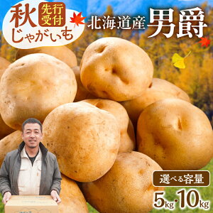 yӂ邳Ɣ[Łzs\y IׂeʁI z zNzNIƂȂ߂炩I kCY j  5kg  10kg Ⴊ   Yn |egT_ RbP W[}|eg Ⴊ 