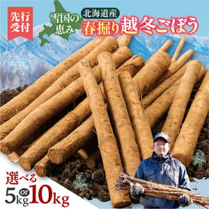 �y�ӂ邳�Ɣ[�Łz�y��s�\�� 2026�N4�������z�k�C���\���������Y �t�@�� �z�~���ڂ� �I�ׂ� 5kg 10kg ��̉��ŊÂ݋Ïk ���Ǝ��n �H���@�ۖL�x �V�N��� �w�Z���H�̗p ����҂� �t�̖��o ��