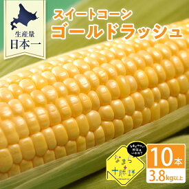 【ふるさと納税】【2024年分先行予約】とうもろこし 高評価 ★ 北海道産 なまら十勝野の スイートコーン ゴールドラッシュ 10本 3.8kg以上キャンプ飯 BBQ ソロキャン人気 トウモロコシ 生 野菜 北海道 十勝 芽室町 送料無料 お取り寄せ