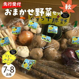 【ふるさと納税】【先行受付】【2026年10月より配送】産地直送 なまら十勝野の 季節のおまかせ 野菜 セット 秋 詰合せ 旬 食品 グルメ 送料無料 常温発送 北海道 十勝 芽室町