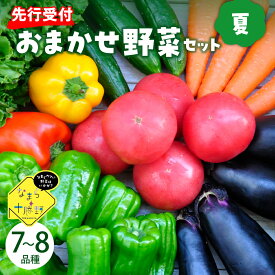 【ふるさと納税】【先行受付】【2026年8月より発送】産地直送 なまら十勝野の 季節のおまかせ 野菜 セット 夏 詰合せ 旬 食品 グルメ 送料無料 冷蔵発送 北海道 十勝 芽室町