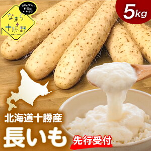 yӂ邳Ɣ[Łzy s\ zy12{ȍ~z Ȃ܂\  5kg ӂƂĂVst kC \ 莺