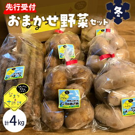 【ふるさと納税】【先行予約】【2026年2月より順次発送】季節の おまかせ 野菜 セット 冬 詰合せ 旬 食品 グルメ 食べ比べ じゃがいも ごぼう北海道 十勝 芽室町