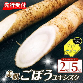 【ふるさと納税】【先行予約】【2026年5月中旬より順次発送】なまら十勝野 芽室町産 春掘り美肌ごぼう【ユキシズク】L 選べる 2kg / 5kg 産地直送 野菜 根菜 ゴボウ きんぴら 炊き込みご飯 お取り寄せ 送料無料 北海道 十勝 芽室町