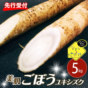 yӂ邳Ɣ[Łzys\zy2026N5{菇zȂ܂\ 莺Y t@ڂyLVYNzL Iׂ 2kg / 5kg Yn   S{E ҂ ݂ 