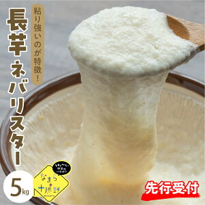 yӂ邳Ɣ[Łzystzy2025N12{菇zȂ܂\  ̔_ Ȃ loX^[ 5kg   ₳   kC \ 莺