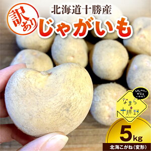 yӂ邳Ɣ[Łz y󂠂z _Ɖ Ⴊ 5kg ( Iׂ i : L^AJ / [NC / kC )y10{`1{zz /   WKC Ⴊ V`[ J[ 