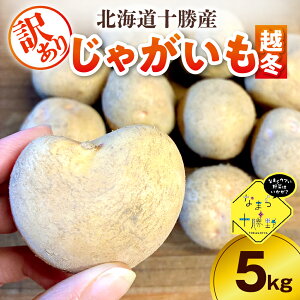 yӂ邳Ɣ[Łz y󂠂z _Ɖ Ⴊ ( z~ ) 5kg ( Iׂ i : L^AJ / ͂邩 / [NC / kC )y2{`4{zz /   WKC Ⴊ 