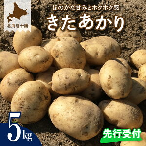 yӂ邳Ɣ[Łzy s\ zႪ  5kg y2025N9{z\z st WKC |eg    tCh|eg RbP |egT_ Ⴊo^[ 