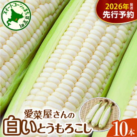 【ふるさと納税】【先行予約】 2026年産 とうもろこし 北海道産 スイートコーン 10本 ホワイト種 【7月下旬～8月中旬にかけて順次発送】 人気 キャンプ飯 BBQ とうきび コーン 甘い 野菜 白 送料無料 お取り寄せ 贈り物 ギフト 贈答 期間限定 北海道 十勝 芽室町