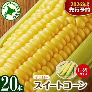 yӂ邳Ɣ[Łzys\z 2026NY Ƃ낱 kCY XC[gR[ CG[ 10{ y7{`8{ɂďz R[ Ƃ Lv BBQ   Yn 
