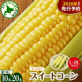 【ふるさと納税】【先行予約】 2026年産 とうもろこし 北海道産 スイートコーン イエロー種 10本 【7月下旬～8月中旬にかけて順次発送】 / コーン とうきび キャンプ飯 BBQ 生 野菜 産地直送 お取り寄せ 冷蔵便 送料無料 お取り寄せ 北海道 十勝 芽室町
