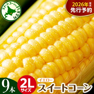 yӂ邳Ɣ[Łzys\z 2026NY Ƃ낱 2L 9{  y7{`8{ɂďzkCY XC[gR[ Lv BBQ AEghA \L o[xL[ ē 