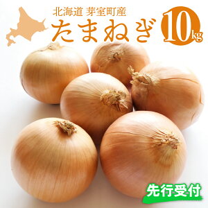yӂ邳Ɣ[Łzys\zkC \ 莺Y ܂˂ 10kg 1 y2025N10z\zst ʂ˂ ʔK ^}lM IjI  xW^u Yn VN   