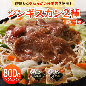yӂ邳Ɣ[Łz  WMXJ 2  Zbg 400g×2 v800g ~[gVbv v  _ t ݖ X ^ t Hה l Lv BBQ ȒP ē o[