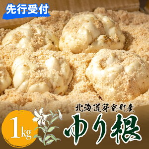 yӂ邳Ɣ[Łzy12{蔭z荪 1kg LTCY 9ʓ 1 s\  Yn  kC \ 莺