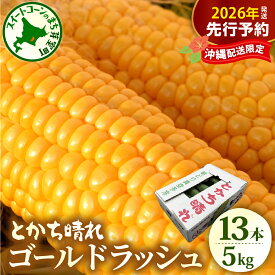 【ふるさと納税】【先行予約】 沖縄配送限定 2026年産 とうもろこし 北海道産 スイートコーン ゴールドラッシュ 13本 2L 5kg 【2026年7月下旬～8月10日頃配送】 / 甘い 人気 朝採り 産地直送 送料無料 期間限定 数量限定 北海道 十勝 芽室町 めむろ