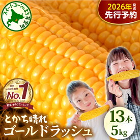 【ふるさと納税】【先行予約】楽天 ランキング 連続 1位 獲得 2026年産 とうもろこし 北海道産 スイートコーン ゴールドラッシュ 13本 2L 5kg 【2026年7月下旬～8月10日頃配送】 甘い 人気 朝採り 産地直送 送料無料 北海道 十勝 芽室町