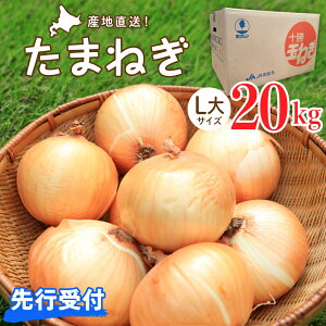 yӂ邳Ɣ[Łzy2025NYstzy10{蔭z ܂˂ 20kg LTCY s\ ʂ˂ Ԍ ʔK ^}lM  ۑ kCY IjI IjIX[v J[ ē Y