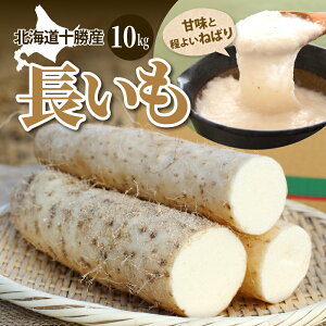 yӂ邳Ɣ[Łzt@[E~I̒ Iׂe 5kg / 10kg    Y Ƃ R {s    L@͔| Yn kC \ 莺 