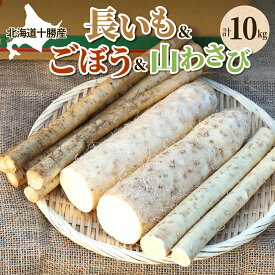 【ふるさと納税】ファーム・ミリオンの贅沢根菜セット（長芋・ごぼう・山わさび）土付き長芋 長いも 芋 ごぼう 山わさび 野菜 セット 贅沢 国産 とろろ 山かけ 滋養強壮 ご飯 お供 お裾分け 有機栽培 産地直送 北海道 十勝 芽室町 送料無料