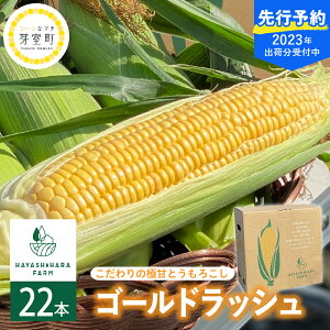 白 とうもろこし 生の人気商品 通販 価格比較 価格 Com 白 とうもろこし 生の人気商品 通販 価格比較 価格 Com