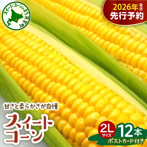 �y�ӂ邳�Ɣ[�Łz�y��s�\��z 2026�N�Y �Ƃ����낱�� �S�[���h���b�V�� 12�{�� ������̂�����΂� �|�X�g�J�[�h �Z�b�g �y2026�N7�����{�`8�����{���z���z 2L�T�C�Y�ȏ� �嗱 �l�C ���̂� �Y