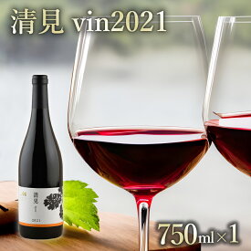 【ふるさと納税】赤ワイン：清見 vin2021 750ml×1本(箱入) 北海道 十勝 芽室町