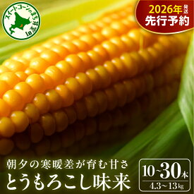 【ふるさと納税】【先行予約】 とうもろこし 味来 (選べる : 10本 / 15本 / 20本 / 30本 )【2026年7月下旬～8月上旬頃配送】 北海道産 朝獲れ スイートコーン ハニーバンダム みらい とうきび 生 野菜 黄色 産地直送 送料無料 期間限定 数量限定 贈答 北海道 十勝 芽室町