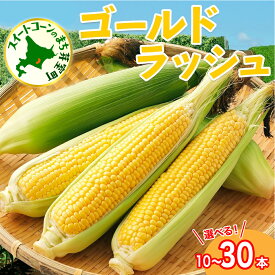 【ふるさと納税】【先行予約】とうもろこし ゴールドラッシュ ( 選べる : 10本 / 15本 / 20本 / 30本 )【2026年7月下旬～8月上旬頃配送】 とうきび イエローコーン スイートコーン 生 野菜 新鮮 もぎたて 冷蔵 お取り寄せ 産地直送 送料無料 北海道 十勝 芽室町