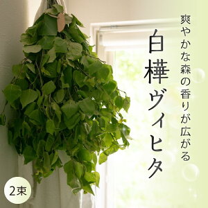 yӂ邳Ɣ[ŁzystzkC莺YuBq^vIׂi1^2j 120{O TEiObY oXObY rq^ N Xї CeA XbO   kC \