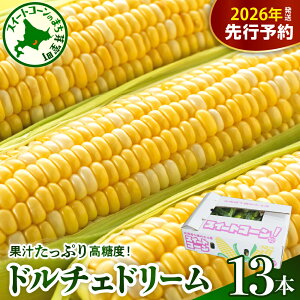 yӂ邳Ɣ[Łzys\z 2026NY Ƃ낱 kCY XC[gR[ h`Fh[ 13{ y2026N7{`8{zzR[ oCJ[ Â   BBQ Yn ① 