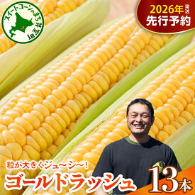 【ふるさと納税】【先行予約】 2026年産 とうもろこし 北海道産 スイートコーン ゴールドラッシュ 13本 【2026年7月下旬～8月上旬頃配送】コーン 糖度 甘い 生 野菜 BBQ 産地直送 冷蔵 送料無料 お取り寄せ 北海道 十勝 芽室町 めむろ