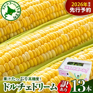 yӂ邳Ɣ[Łzy󂠂zys\z 2026NY Ƃ낱 kCY XC[gR[ h`Fh[ 13{ y2026N7{`8{zzR[ oCJ[ Â   BBQ Yn