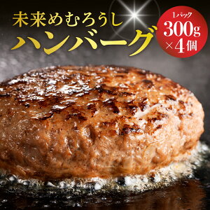 yӂ邳Ɣ[Łz ߂ނ낤 no[O Iׂeʁi300g×2 v600g^300g×4 v1.2kgj ōDȑ傫ɐ` Ⓚ Y a  r[t HHi Hi y  pbN Zbg