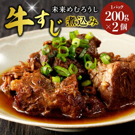 【ふるさと納税】未来めむろうし 牛すじ 煮込み 2個 冷凍 和牛 国産 牛肉 ビーフ 加工食品 加工品 惣菜 おかず パック セット 贈り物 ギフト お取り寄せ 北海道 十勝 芽室町