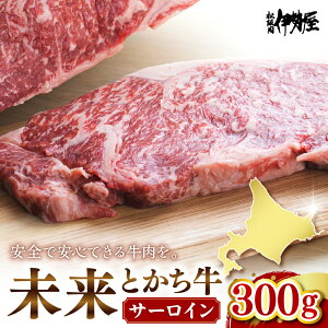 yӂ邳Ɣ[ŁzƂ  T[C 300g    Y Y kCY lC  kC \ 莺