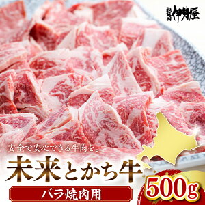 yӂ邳Ɣ[ŁzƂ o ē 500g    Y Y kCY lC  kC \ 莺