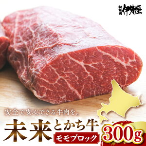 yӂ邳Ɣ[ŁzƂ ubN 300g    Y Y kCY lC  kC \ 莺