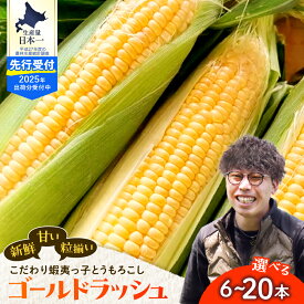 【ふるさと納税】蝦夷っ子 とうもろこし ゴールドラッシュ (選べる : 6本 / 12本 / 20本 )/ 人気 キャンプ飯 BBQ アウトドア ソロキャン バーベキュー 焼肉 トウモロコシ とうきび コーン 甘い 野菜 北海道 十勝 芽室町 めむろ 数量限定