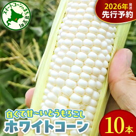 【ふるさと納税】【先行予約】2026年産 とうもろこし 北海道産 ホワイトコーン 10本 セット L ～ 2L 【2026年8月10日～8月下旬配送】 白色 コーン 朝採り 産地直送 とうきび 甘い 生 野菜 産地直送 冷蔵 送料無料 期間限定 数量限定 人気 おすすめ 北海道 十勝 芽室町