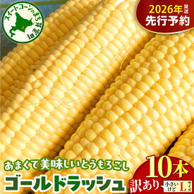 【ふるさと納税】【2026年8月上旬～8月下旬頃配送】【訳あり】北海道十勝芽室町 とうもろこし ゴールドラッシュ Lサイズ 10本セット　me078-006c-26／スイートコーン コーン 朝採り 産地直送 糖度 生 野菜 新鮮 BBQ 冷蔵 送料無料 お取り寄せ 北海道十勝 芽室町