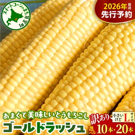 【ふるさと納税】【訳あり】【先行予約】 2026年産 とうもろこし 北海道産 ゴールドラッシュ L サイズ ( 選べる : 10本 / 20本 )【2026年8月上旬～8月下旬頃配送】 スイートコーン コーン 朝採り 産地直送 糖度 生 野菜 新鮮 BBQ 冷蔵 送料無料 お取り寄せ 北海道十勝 芽室町