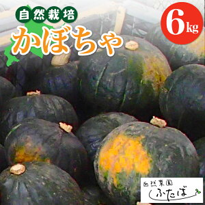 yӂ邳Ɣ[Łz kCY ڂ 6kg | Z R͔| R_@ H { Yn SS   퉷 Y kC \ 莺 R؉ӂ
