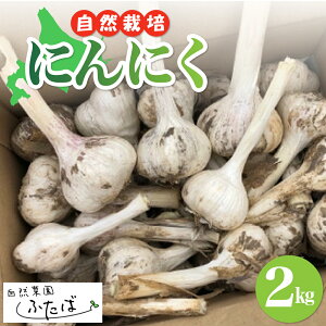 yӂ邳Ɣ[Łz kCY ɂɂ 2kg | K[bN R͔| R_@ H { Yn SS   퉷 Y kC \ 莺 R؉ӂ